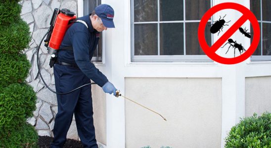 Mahmudiye Fare İlaçlama böcek ilaçlama ve haşere kontrolü — ilaclama-tr.com